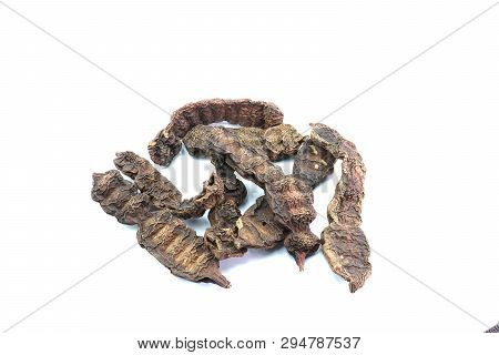 Dryed Acacia Concinna Isolated On White Background.