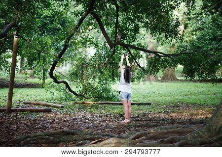Kandy, Sri Lanka - March 17, 2018: Girl Take A Photo Of Monkey In The Royal Botanical Garden Is A Mu