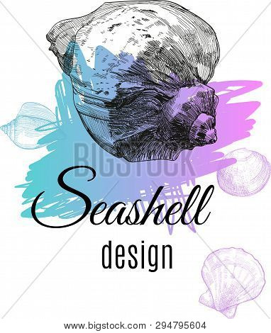 Doodle Seashell Print Template On Beautiful Soft Color Spot. Vector Illustration For Ocean Underwate