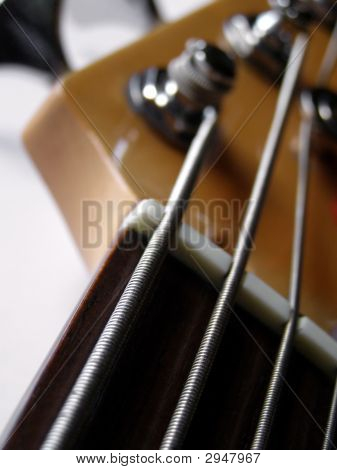 Macro bajo