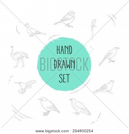 Set Of Fauna Icons Line Style Symbols With Ostrich, Myna, Dove And Other Icons For Your Web Mobile A