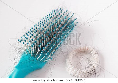 Hairs Fall In Comb, Hair Fall Everyday Serious Problem.cross Processing And Split Tone Instragram Li