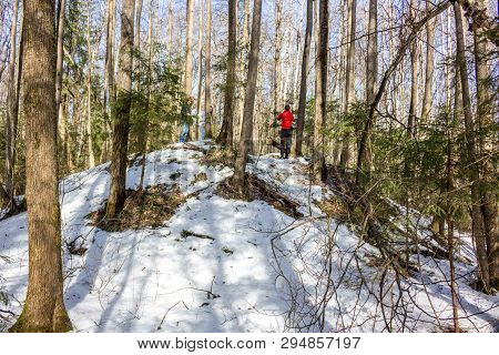 Ancient Baltic And Slavic Mounds In The Winter Forest