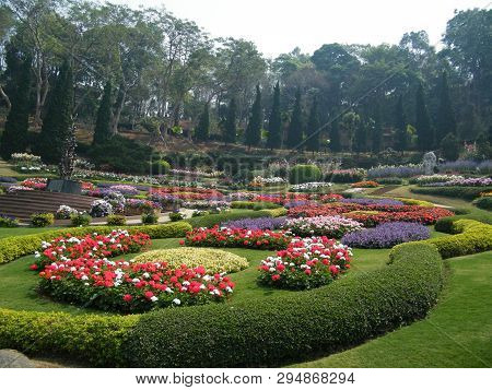 Flowers In Botanical Gardens Of India, Colorful And Beautiful