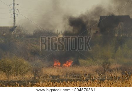 Coastal Zone Of Marsh Creek, Strong Smoke From Fire Of Liana Overgrowth. Spring Fires Of Dry Reeds D