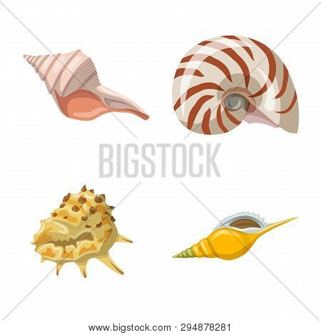 Vector Design Of Seashell And Mollusk Icon. Set Of Seashell And Seafood  Vector Icon For Stock.