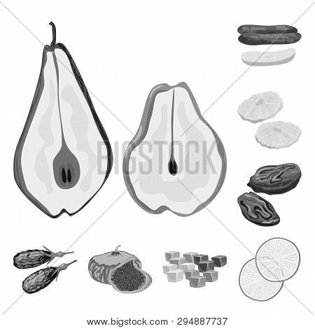 Vector Illustration Of Vitamin  And Nature  Icon. Set Of Vitamin  And Dried  Stock Vector Illustrati