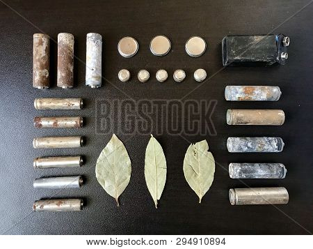 Corrosion-free Batteries.  Different Size And Shape. A Dry Leaves.  Recycling And Environmental Prot