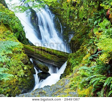 Sol Duc cascata