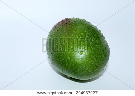 Green Large Mango With Water Drops Lying On A White Background
