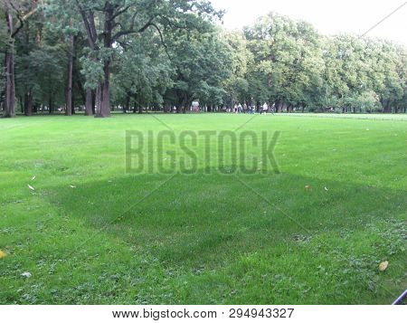 Ground Art Pattern Sqare Green Grass In The Withered Grass
