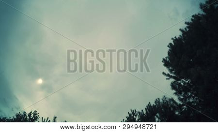 Spherical Panorama Of Forest, Time Lapse Of Passing Clouds, Loop Video 360 Degree, Planet 360 Degree