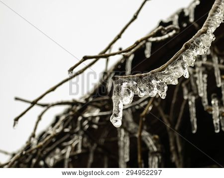 In Spring The Temperature Is Changing. After A Cold Spell It Was Very Cold, Ice Crystals Formed. Ulv