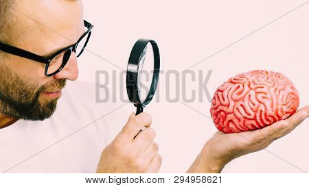 Adult Nerd Man Wearing Eyeglasses Looking At Human Brain Model. Thinking And Intelligence Conept