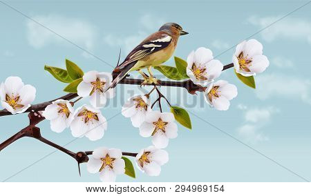 Cherry Flowers Border . Spring Blossom. Holiday Cards