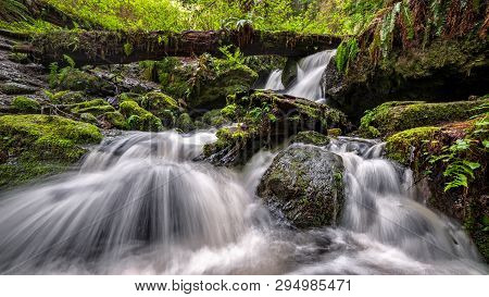 A Small Waterfall In The Rain Forest, Northern California