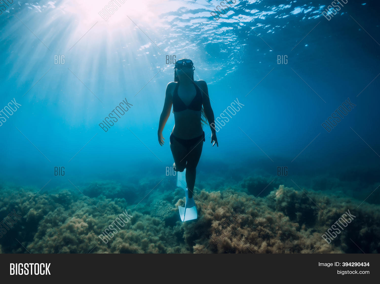 Freediver Young Woman Image & Photo (Free Trial) Bigstock