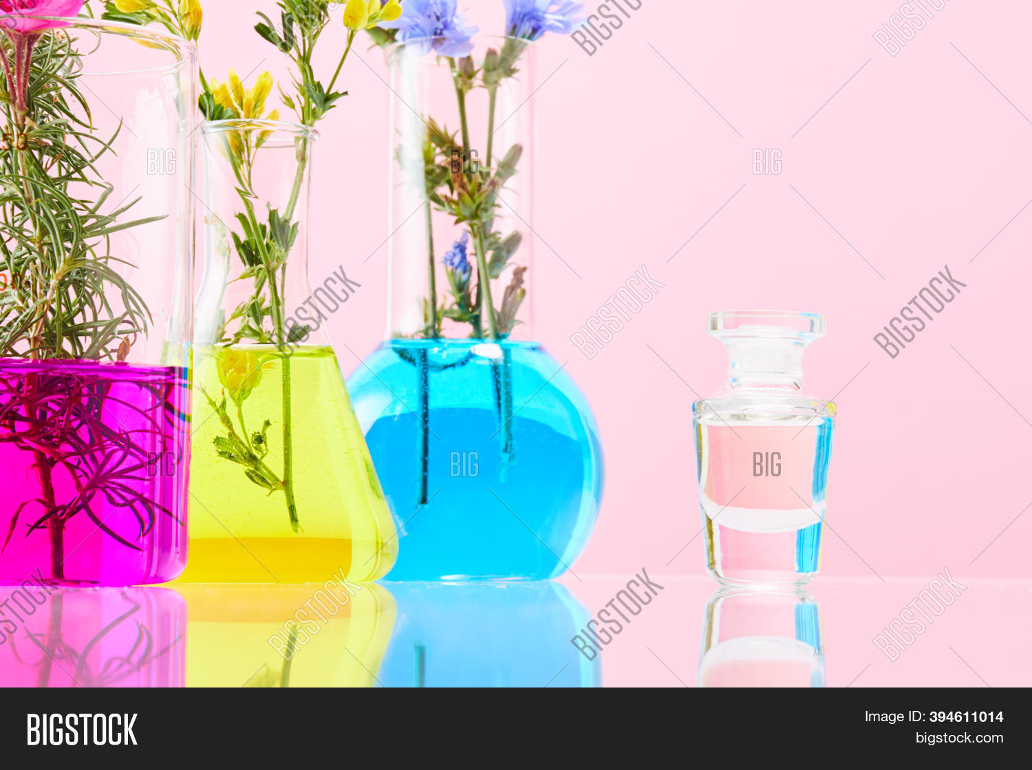 Flowers Test Tubes Image & Photo (Free Trial) | Bigstock