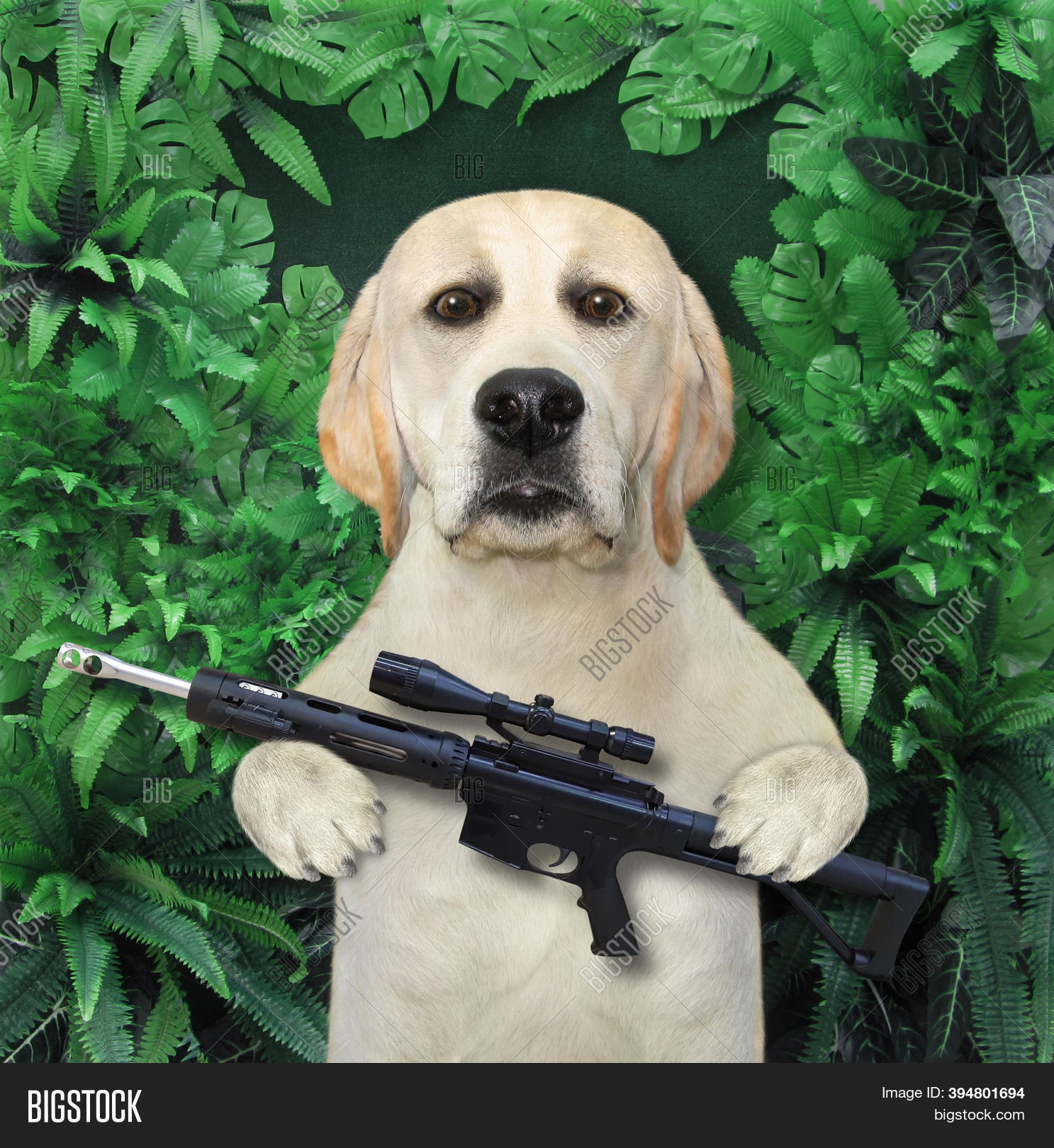 Dog Hunter Holds Image & Photo (Free Trial) Bigstock