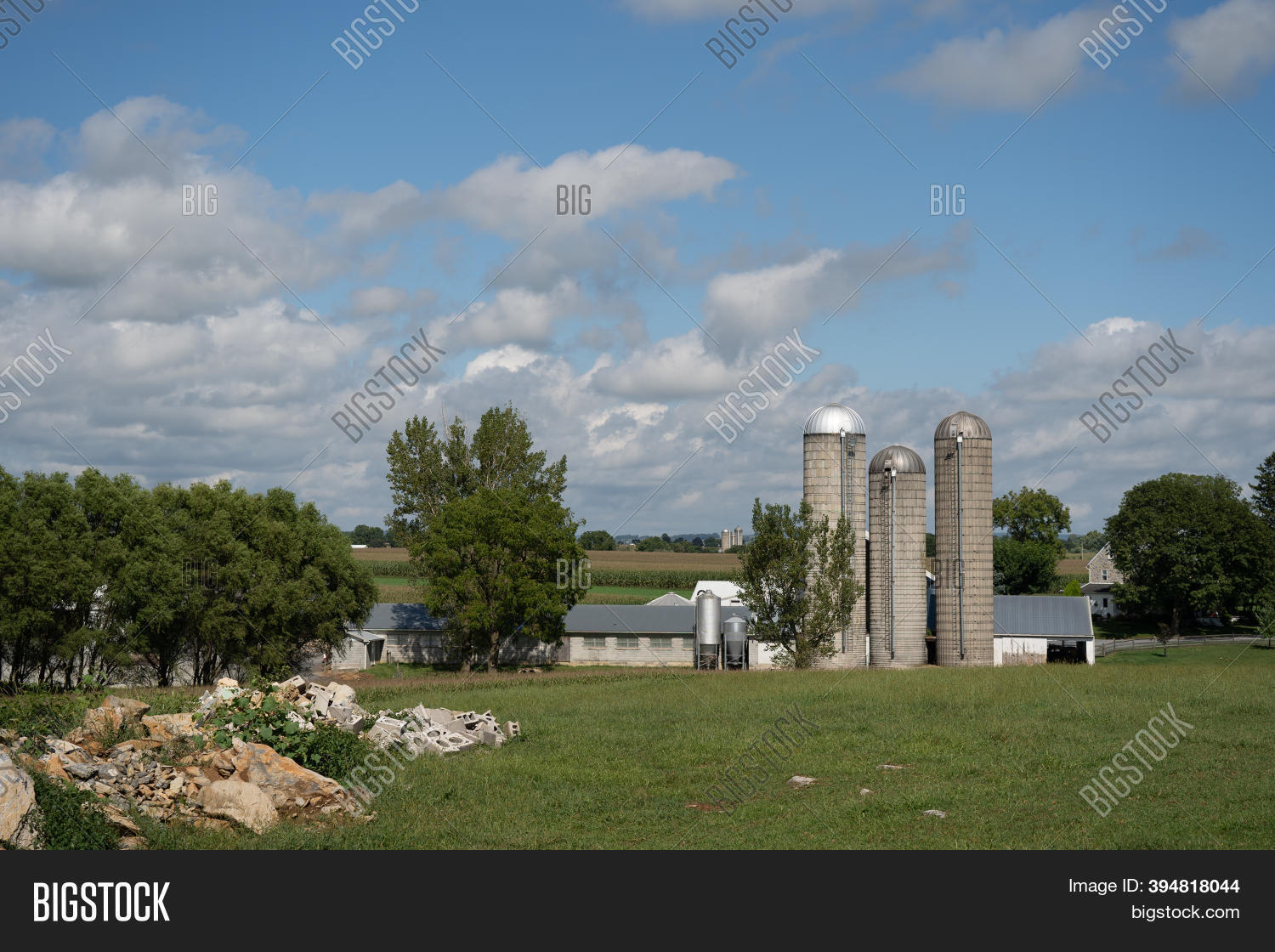 Dairy Farm Lancaster Image & Photo (Free Trial) Bigstock
