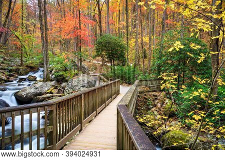 Bridge to Anna Ruby Falls, Georgia, USA in autumn. 