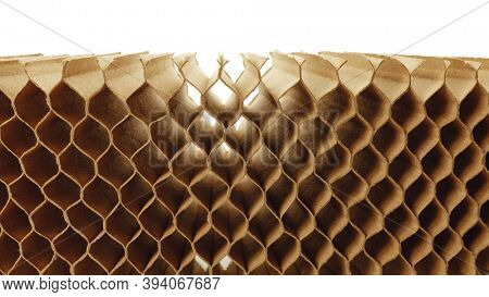 honeycomb cells of cardboard stiffening rib background