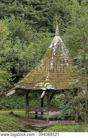 A Close Up View Of A Old Wooden Struture In The Middle Of The Forest With Mould And Moss Covering Th