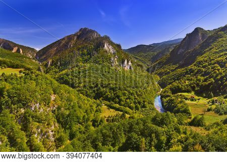 River Tara canyon - Montenegro - nature travel background