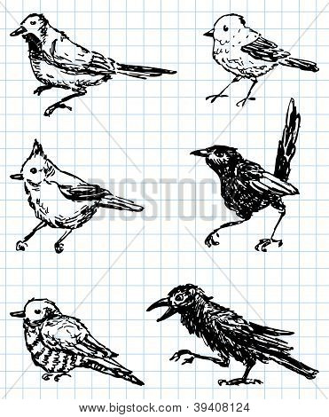 Vypracované Birds.eps