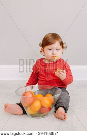 Cute Adorable Caucasian Baby Boy Eating Citrus Fruit. Finny Child Eating Healthy Organic Snack. Soli