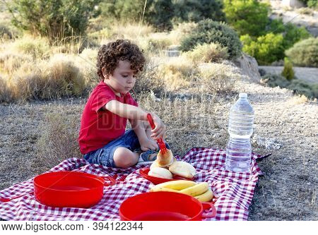 Boy On Picnic Prodding A Sandwich With A Red Fork, Red And Black Checkered Tablecloth And Reusable P
