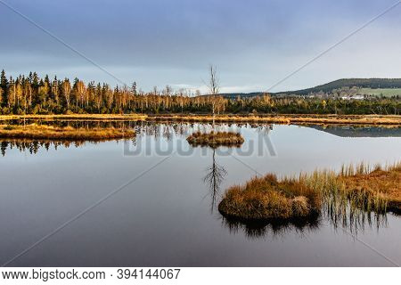 Chalupska Moor Near Village Of Borova Lada, Czech Republic. Beautiful Reflection In A Lake With Sing