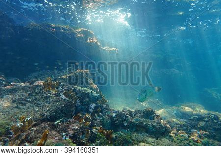High Definition Images Of Sunlight Streaming Into The Ocean Floor