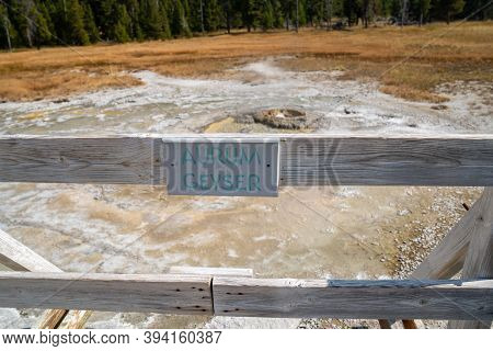 Aurum Geyser, A Hot Spring Thermal Feature In The Upper Geyser Basin In Yellowstone National Park
