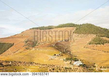 Top View Of River, The Hills With The 