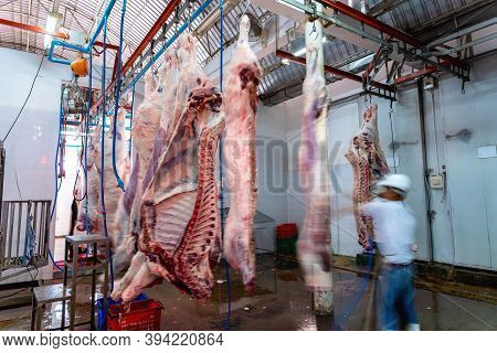 Blurred Of Butchers Works In A Slaughterhouse, Meat Cuts Freshly And Hanged On Hook In A Slaughterho