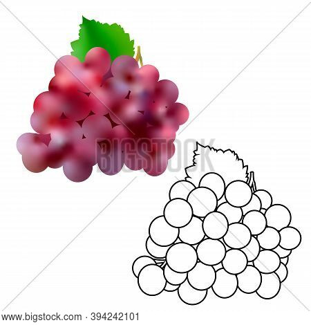 Isolated Dark Grape With Green Leaf In 3d And Line Illustration On White Background