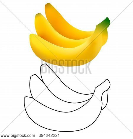 3d And Line Vector Realistic Illustration Of Bunch Of Bananas. Banana Isolated On White Background, 
