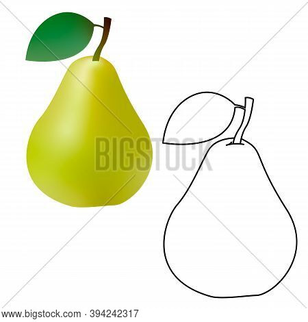 3d And Line Realistic Green Pear Isolated On White Background. Vector Illustration.