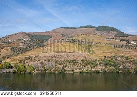 Top View Of River, The Hills With The 