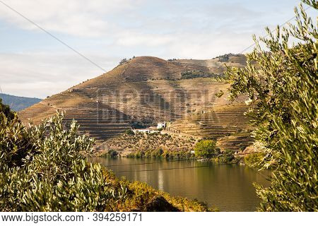 Top View Of River, The Hills With The 