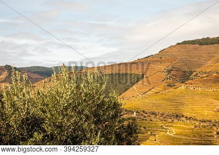 Top View Of River, The Hills With The 