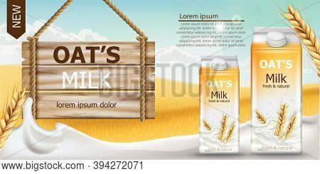 Two Carton Boxes With Fresh And Natural Oat Milk In A Field Full Of Grains. Blue Cloudy Sky. Wooden 
