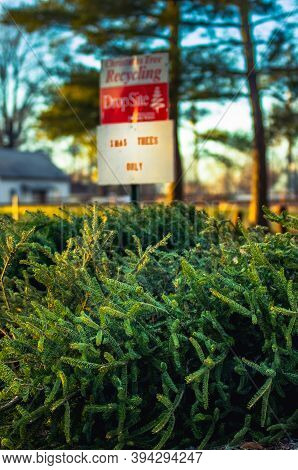 Belleville, Il--dec 27, 2018; Park With Sign Marking Where Old Christmas Trees Can Be Dropped Off Fo