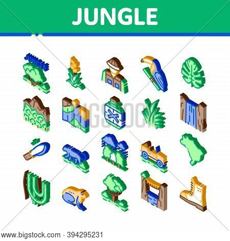 Jungle Tropical Forest Icons Set Vector. Isometric Jungle Tree And Animal, Waterfall And Wood, Flowe