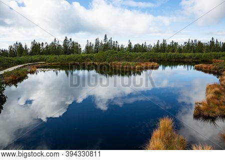 Clouds Reflecting In Dark Swamp Water Of Lovrenska Lakes, Slovenia