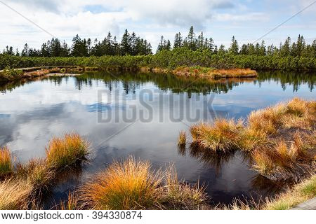 Clouds Reflecting In Dark Swamp Water Of Lovrenska Lakes, Slovenia