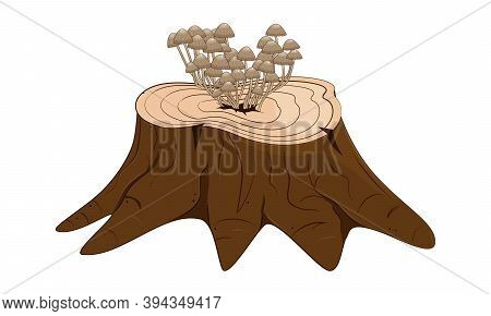 Tree Stump With Mushrooms. Stock Vector Illustration.