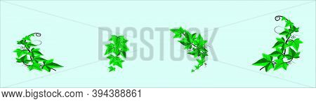 Ivy Wall Hanging Plants. Cartoon Icon Design Template With Various Models. Modern Vector Illustratio