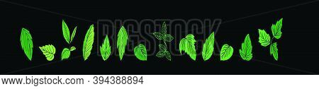 Ivy Wall Hanging Plants. Cartoon Icon Design Template With Various Models. Modern Vector Illustratio